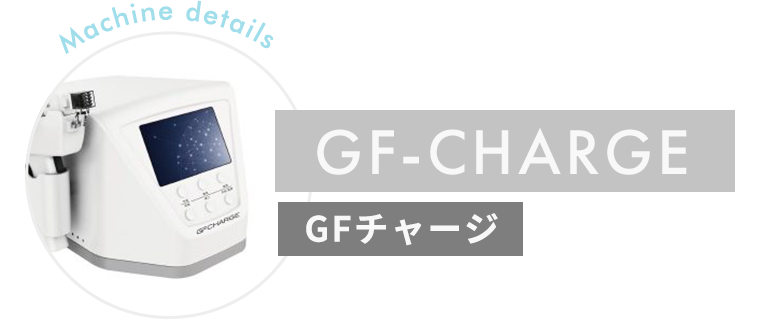 GF-CHARGE GFチャージ Machine details